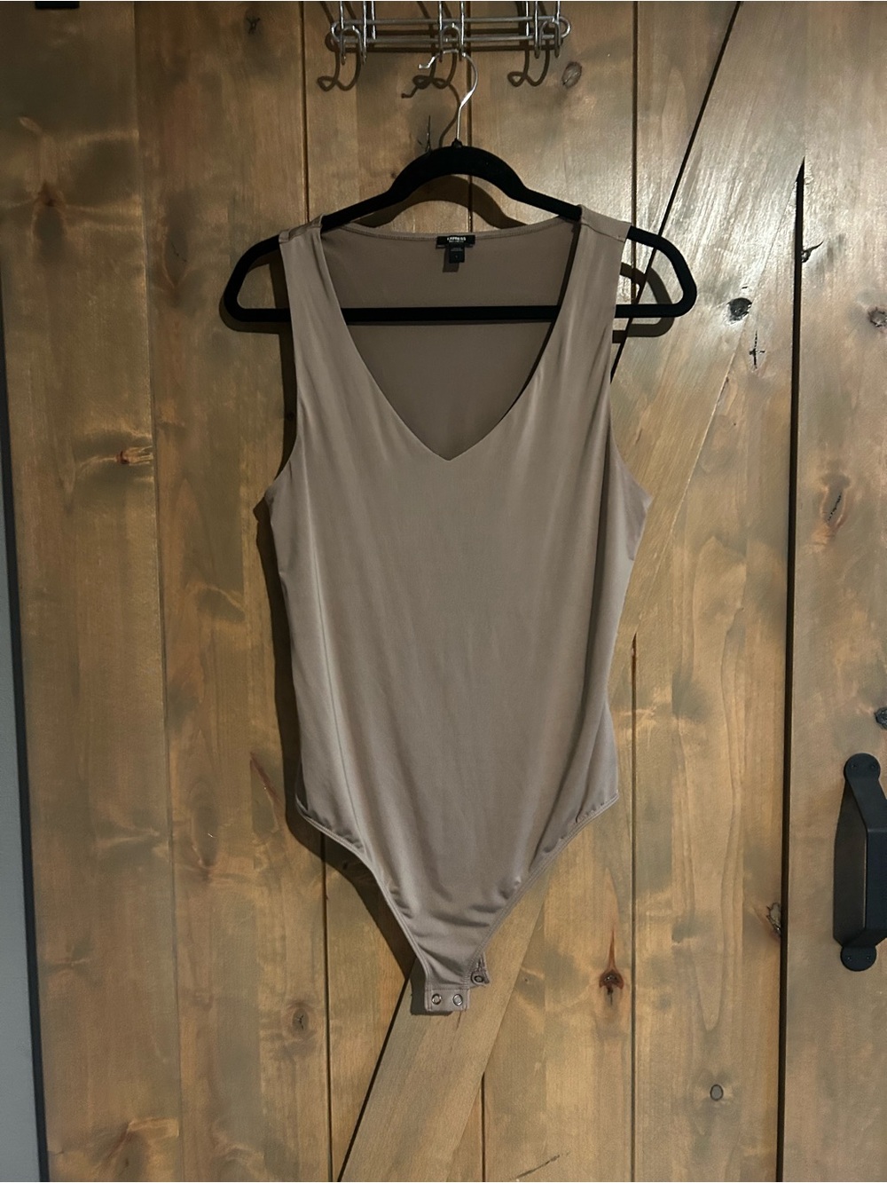 Express Neutral V-Neck Sleeveless Bodysuit